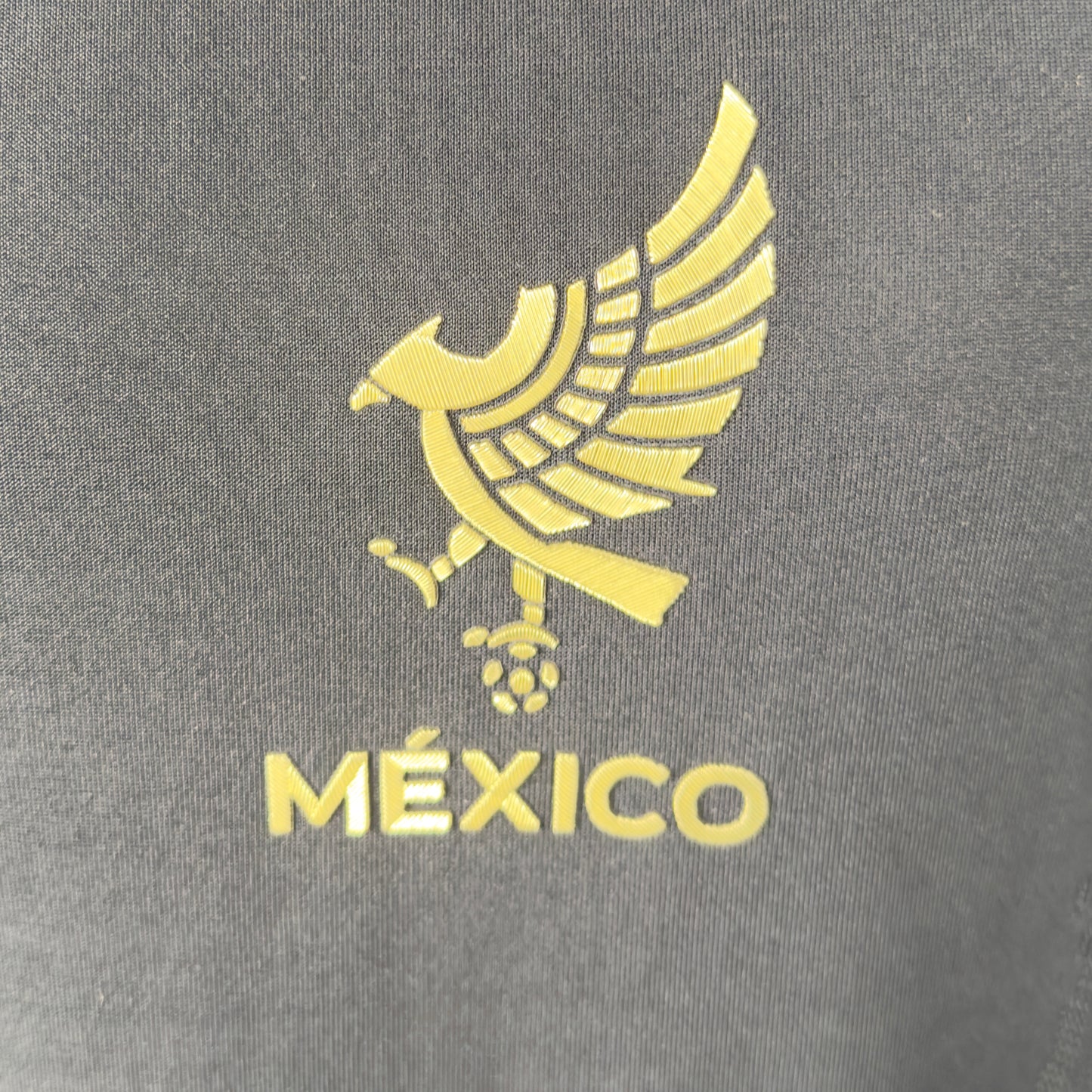 Mexico National Football team Home Jersey 24/25